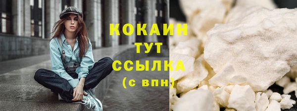 молекула духа Арсеньев
