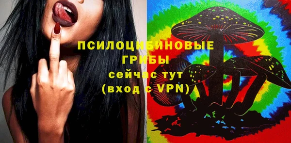 молекула духа Арсеньев