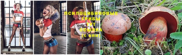 трава Аркадак