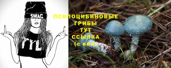 молекула духа Арсеньев
