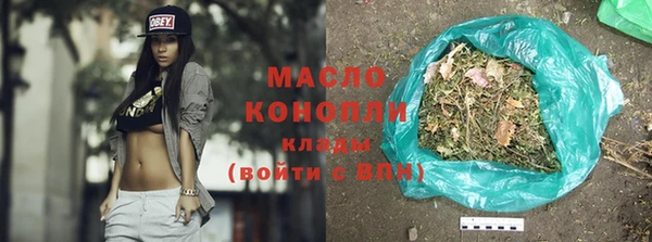 молекула духа Арсеньев