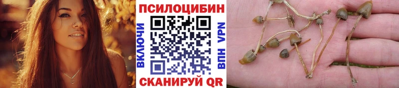 Галлюциногенные грибы мухоморы Семикаракорск