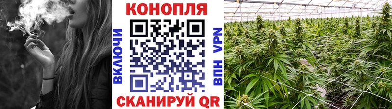 где продают   Семикаракорск  Бошки марихуана White Widow 